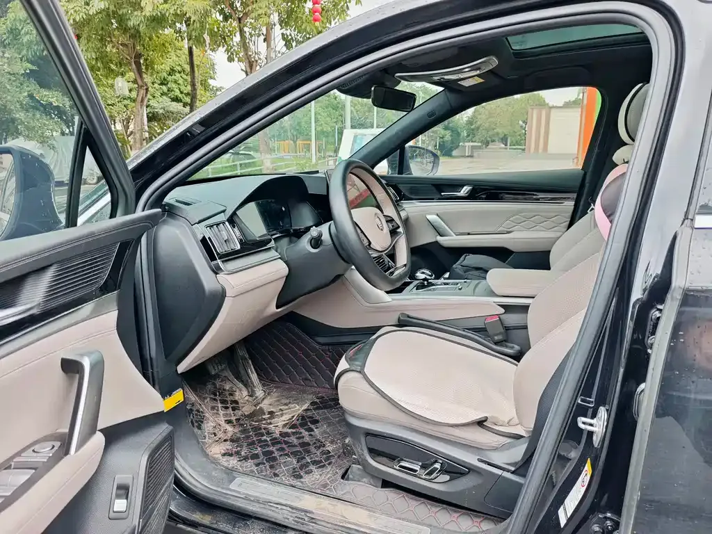 BYD Tang New Energy 2024 из CN, фото 4