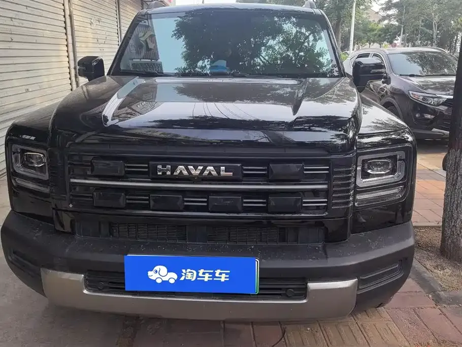 Haval 长城猛龙 PLUS 2025 из CN, фото 7