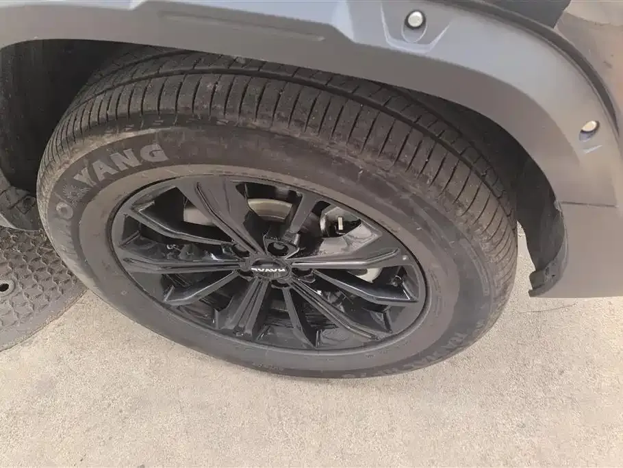 Haval 长城猛龙 PLUS 2025 из CN, фото 5