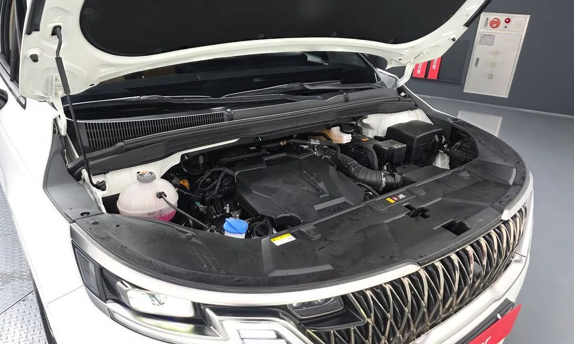 Kia Carnival 2023 из KR, фото 7