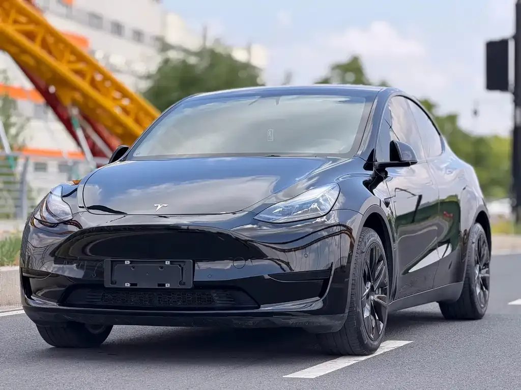 Tesla Model Y — фото 1