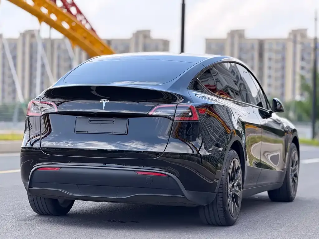 Tesla Model Y — фото 10
