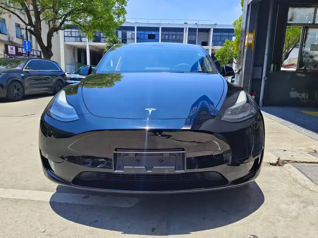 Tesla Model Y — фото 10