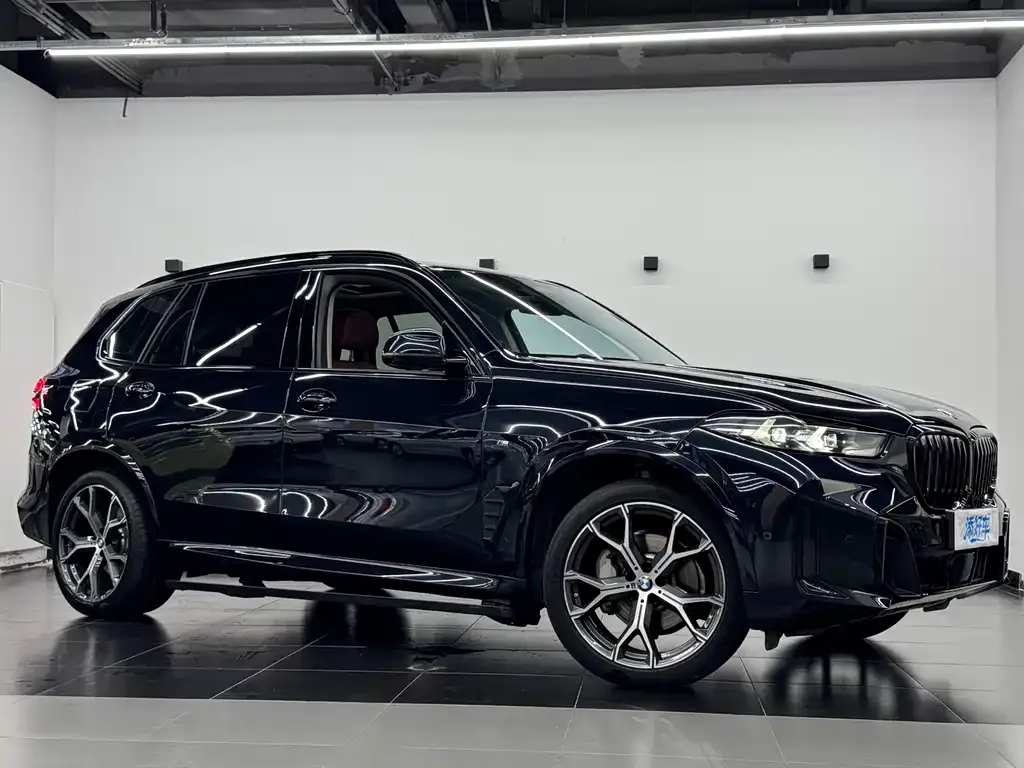 BMW X5 2024 из CN, фото 8