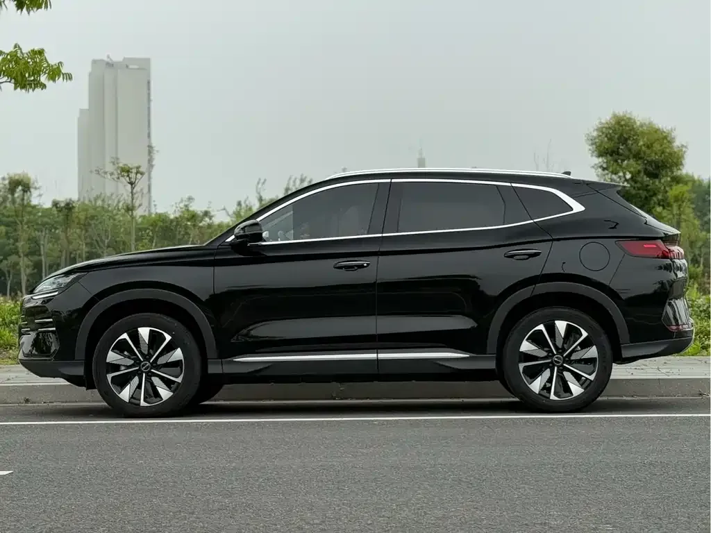 BYD PLUS New Energy — фото 10