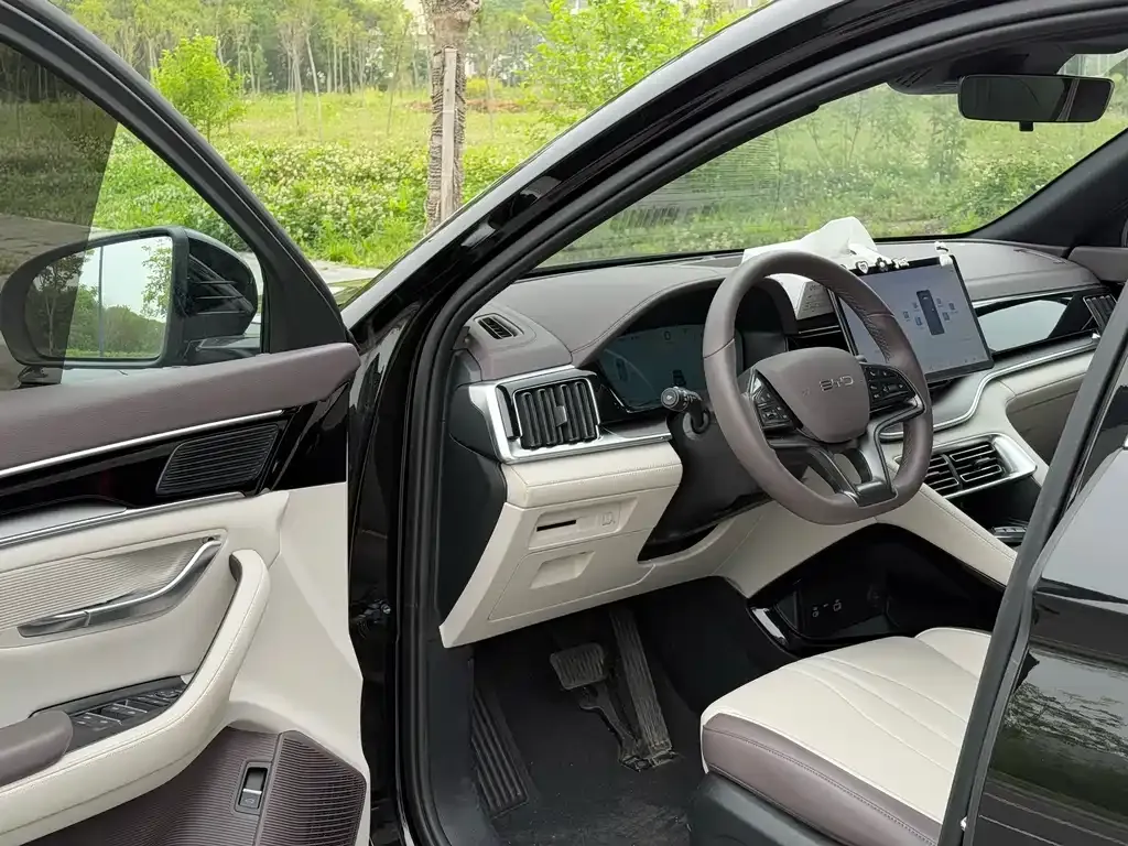 BYD PLUS New Energy — фото 4