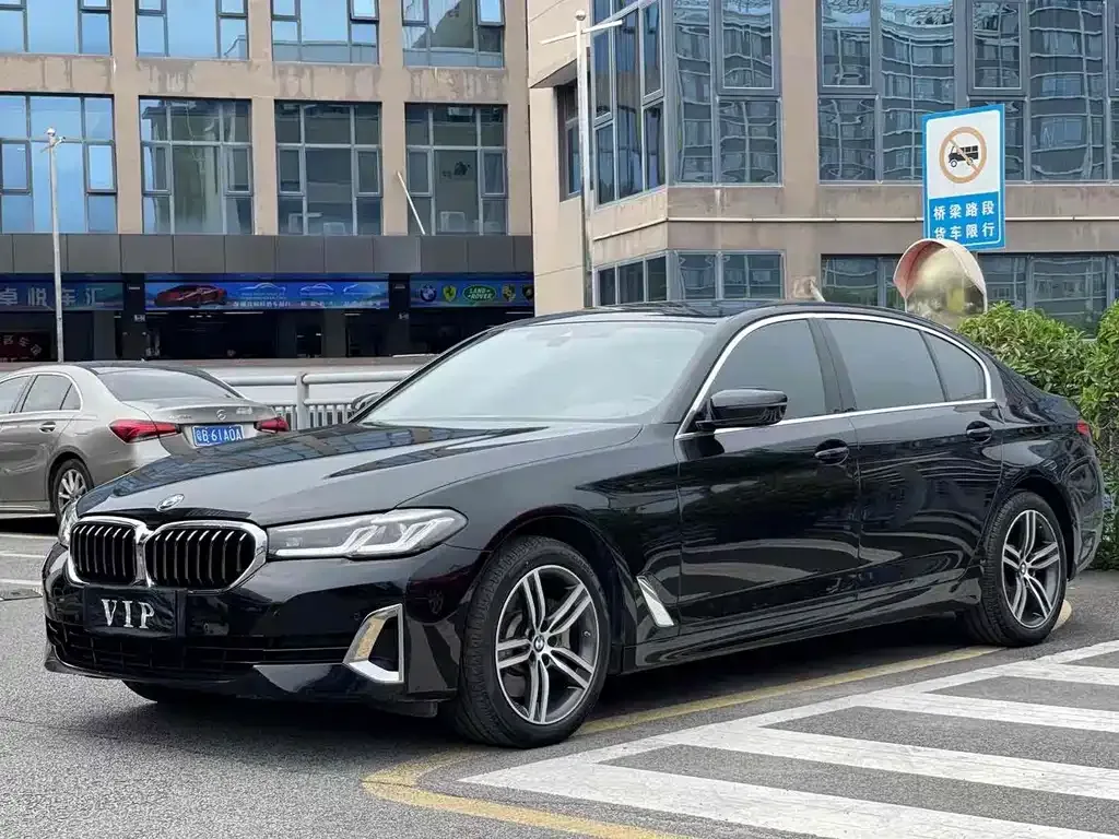 BMW 5 Series 2021 из CN, фото 7
