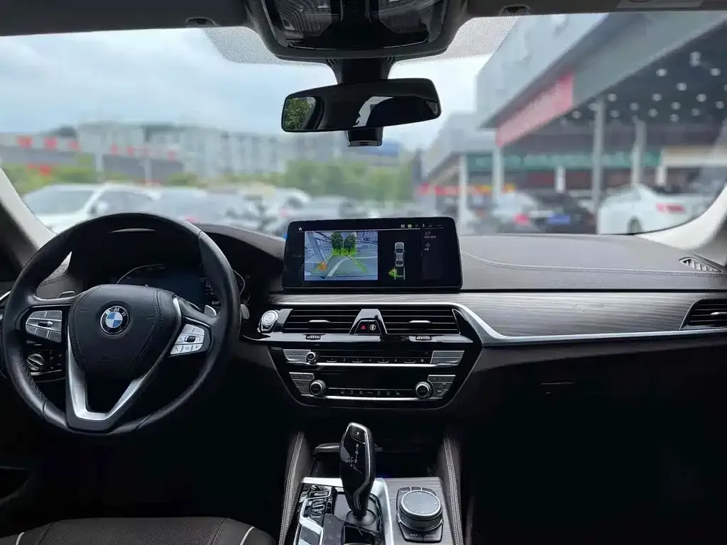 BMW 5 Series 2021 из CN, фото 8