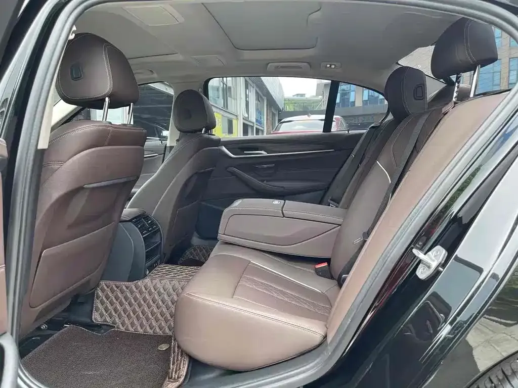 BMW 5 Series 2021 из CN, фото 4