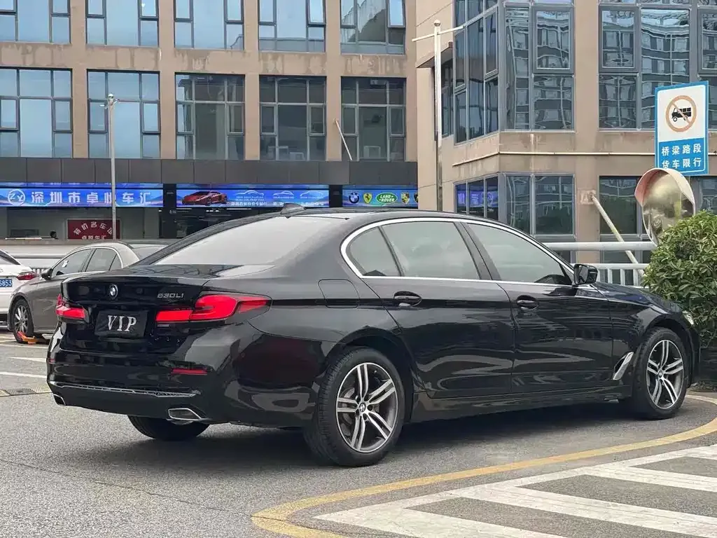 BMW 5 Series 2021 из CN, фото 3
