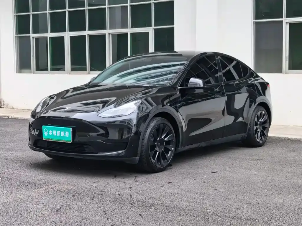 Tesla Model Y — фото 1