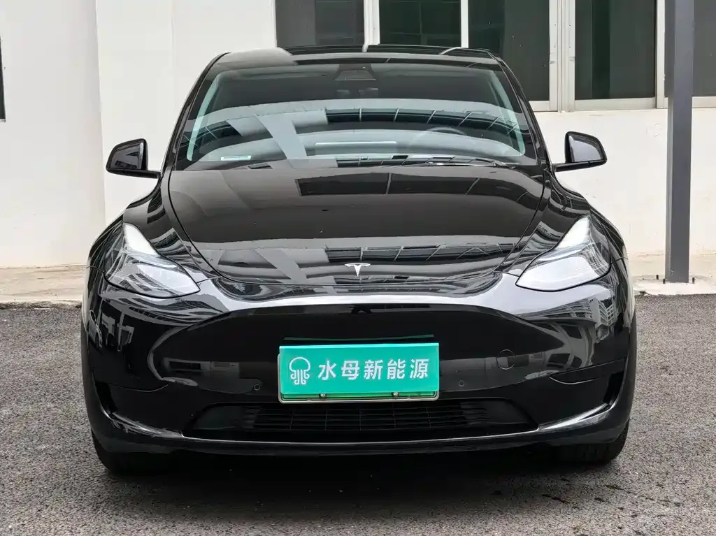 Tesla Model Y — фото 5