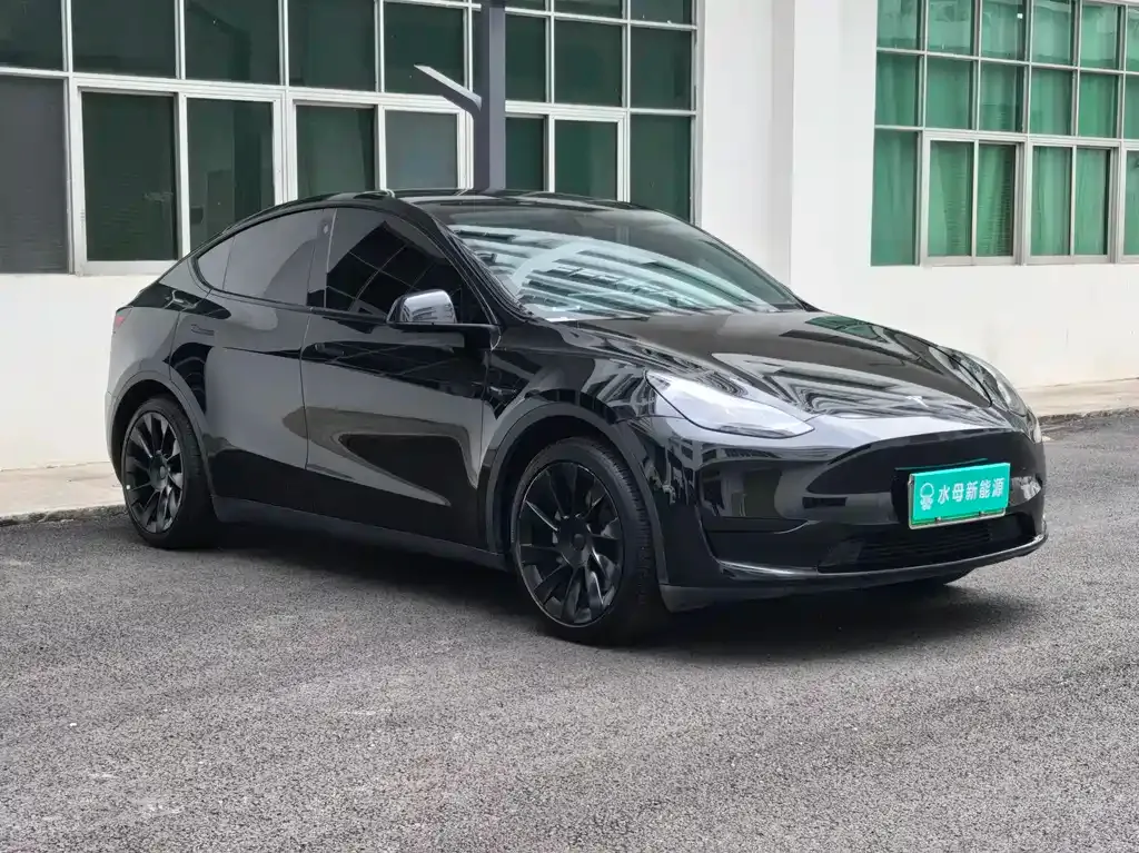Tesla Model Y — фото 7