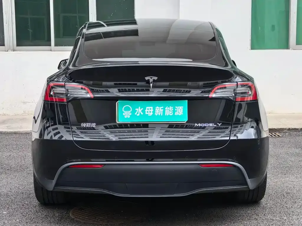 Tesla Model Y — фото 4