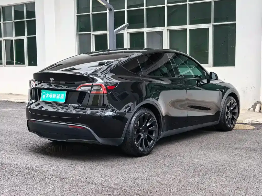 Tesla Model Y — фото 8