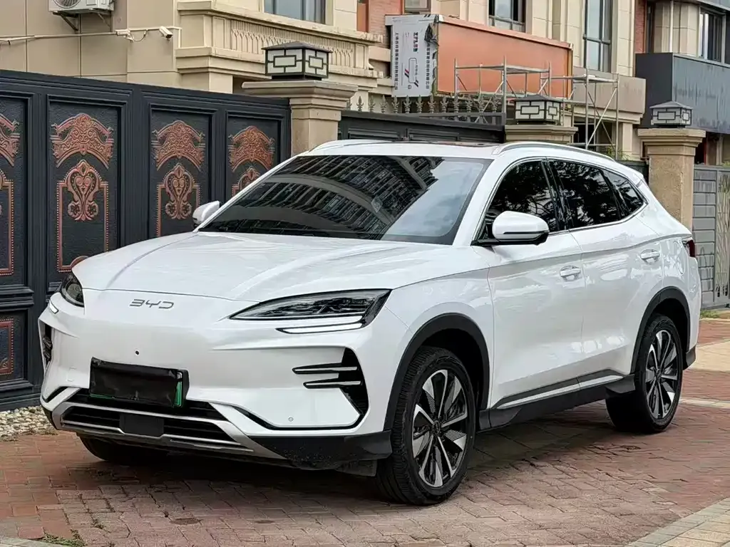 BYD PLUS New Energy — фото 1