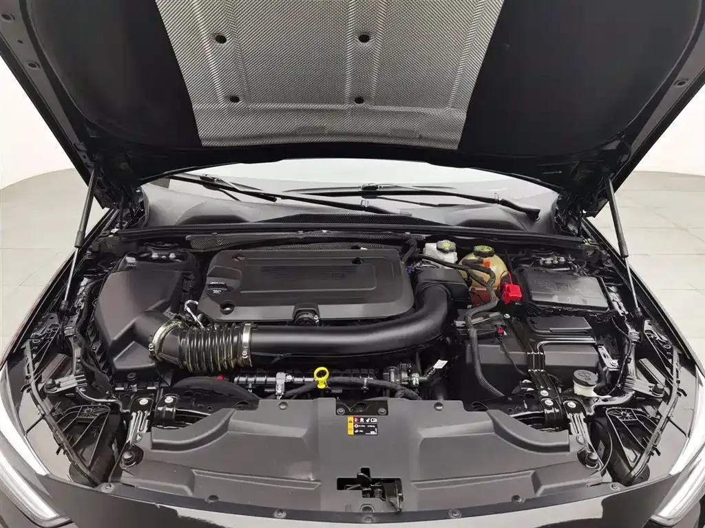 Buick Regal — фото 10