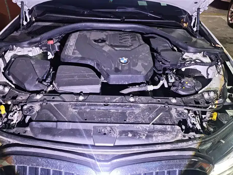 BMW 3 Series 2021 из CN, фото 10