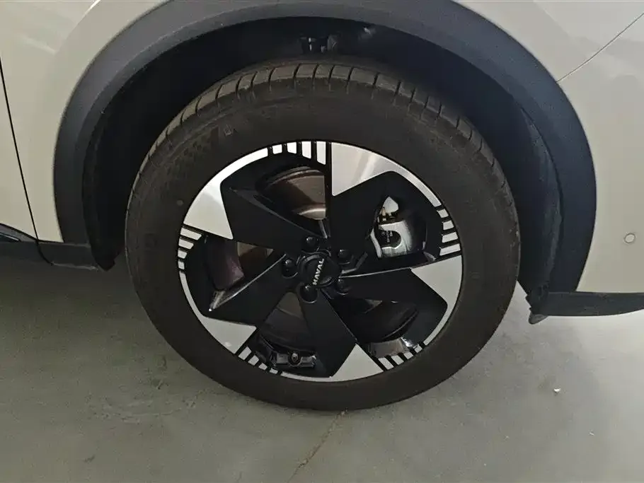 Haval Xiaolong MAX 2025 из CN, фото 7