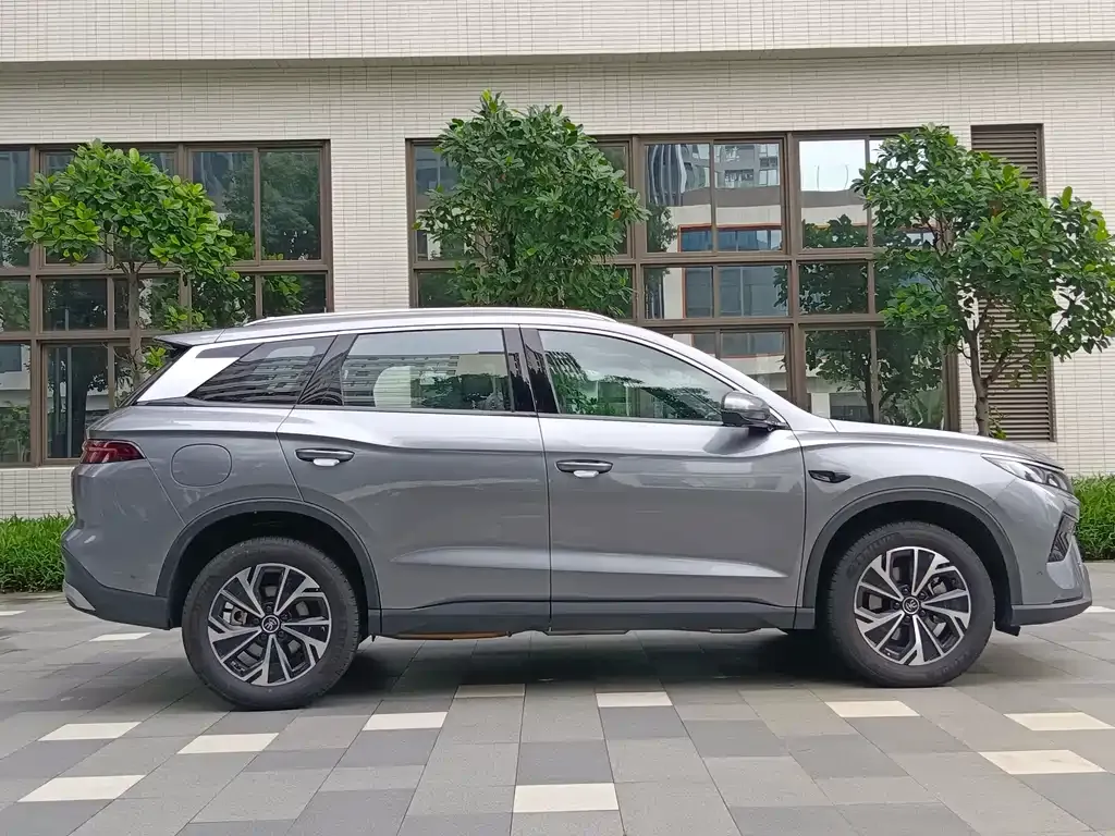 BYD Pro New Energy — фото 2