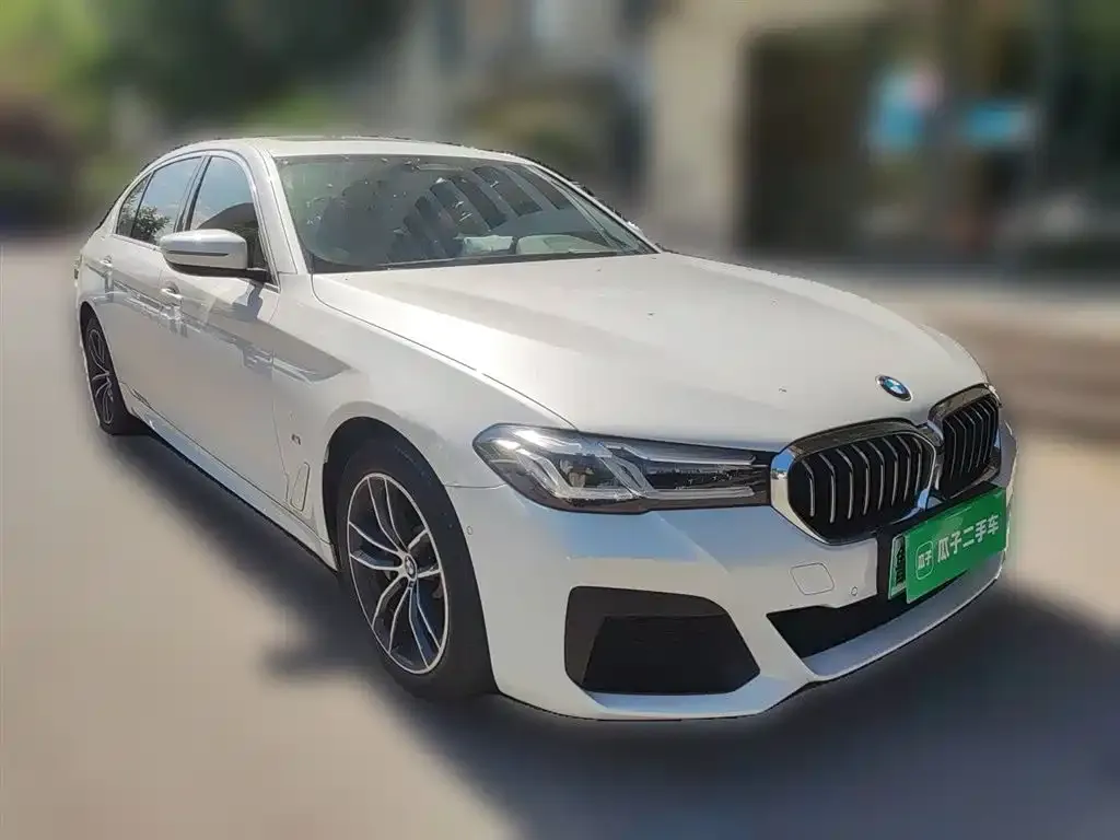 BMW 5 Series New Energy 2021 из CN, фото 6