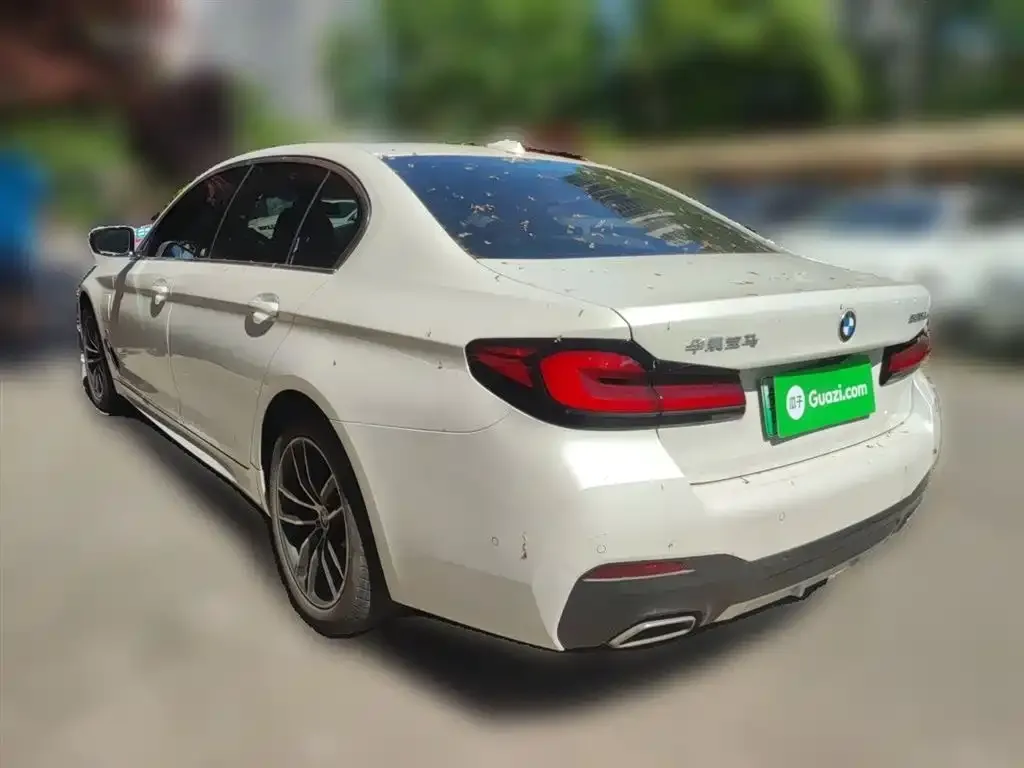 BMW 5 Series New Energy 2021 из CN, фото 4