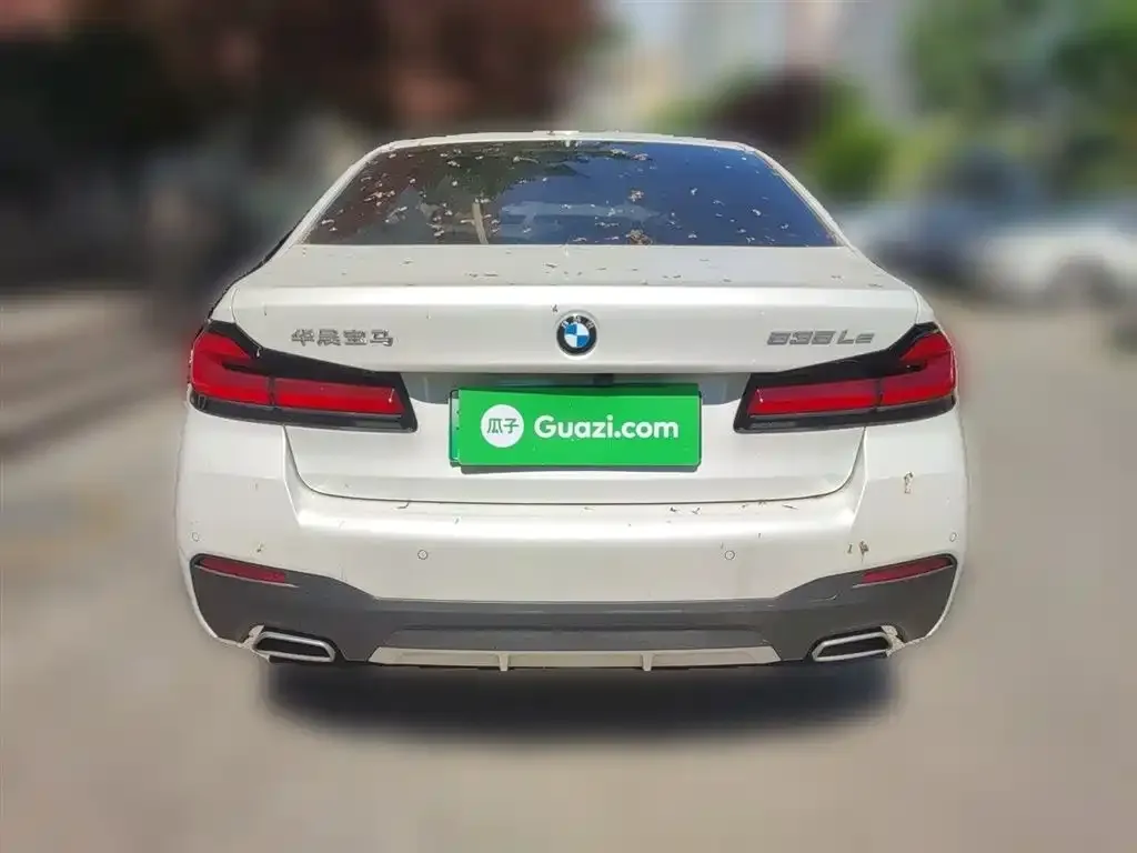BMW 5 Series New Energy 2021 из CN, фото 3