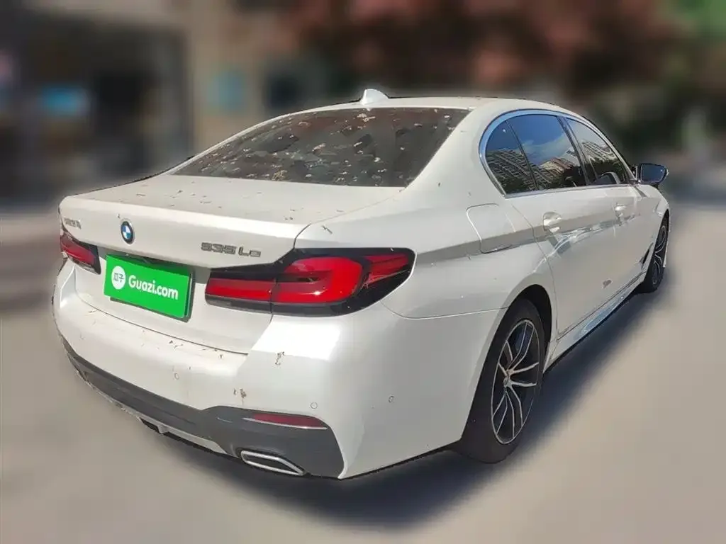 BMW 5 Series New Energy 2021 из CN, фото 9