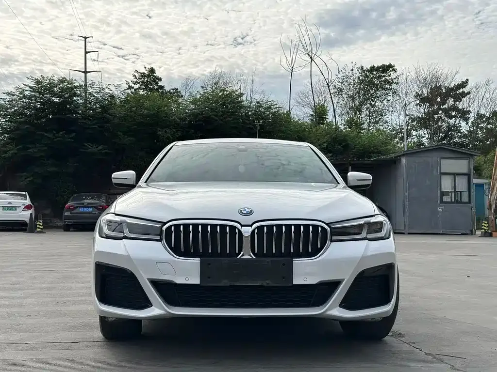 BMW 5 Series New Energy — фото 3