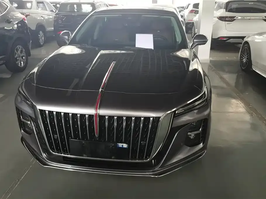Hongqi H5 — фото 10