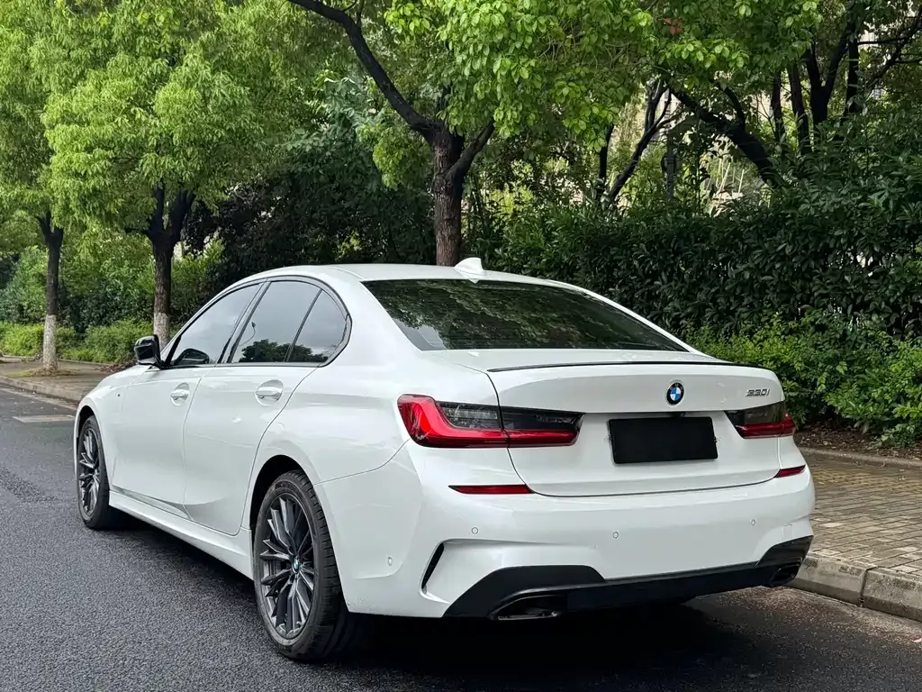 BMW 3 Series 2022 из CN, фото 7