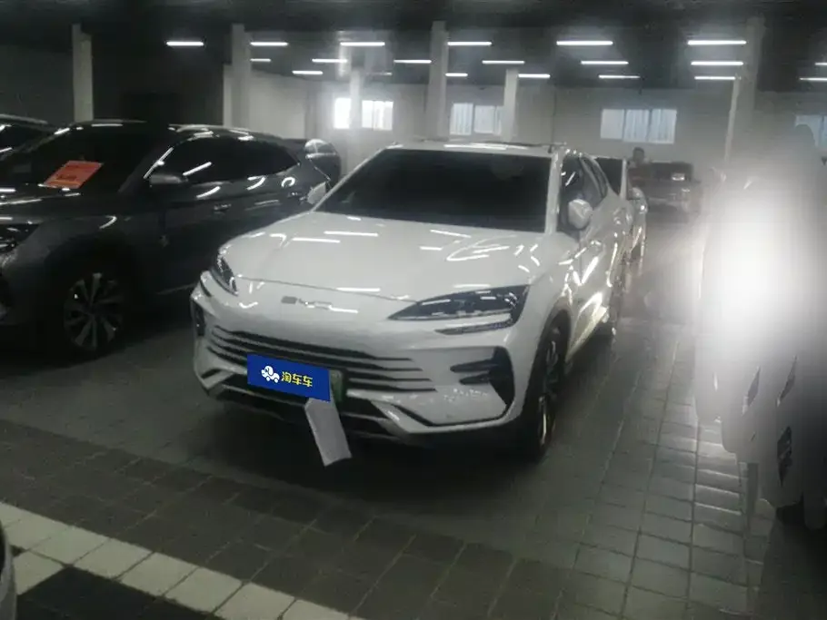 BYD PLUS New Energy — фото 1