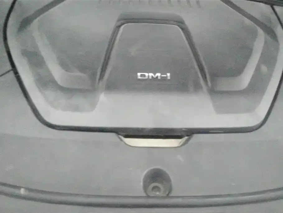 BYD PLUS New Energy — фото 10