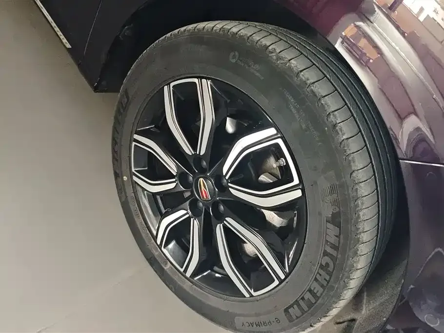 Hongqi HQ9 2023 из CN, фото 10