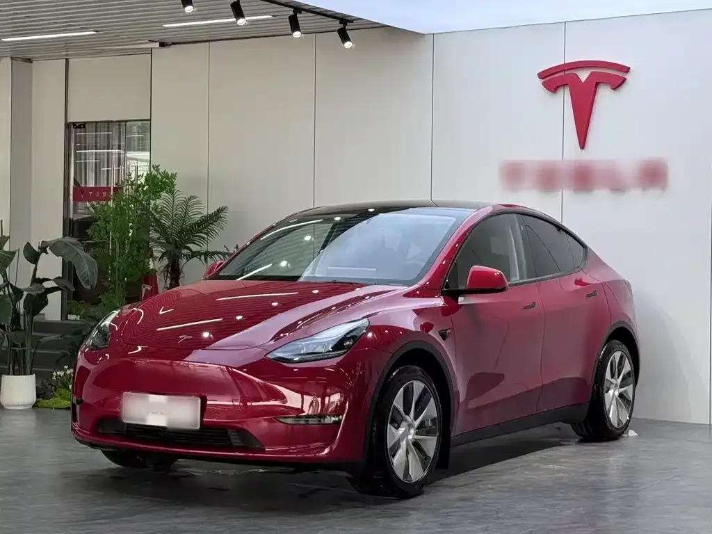 Tesla Model Y — фото 10
