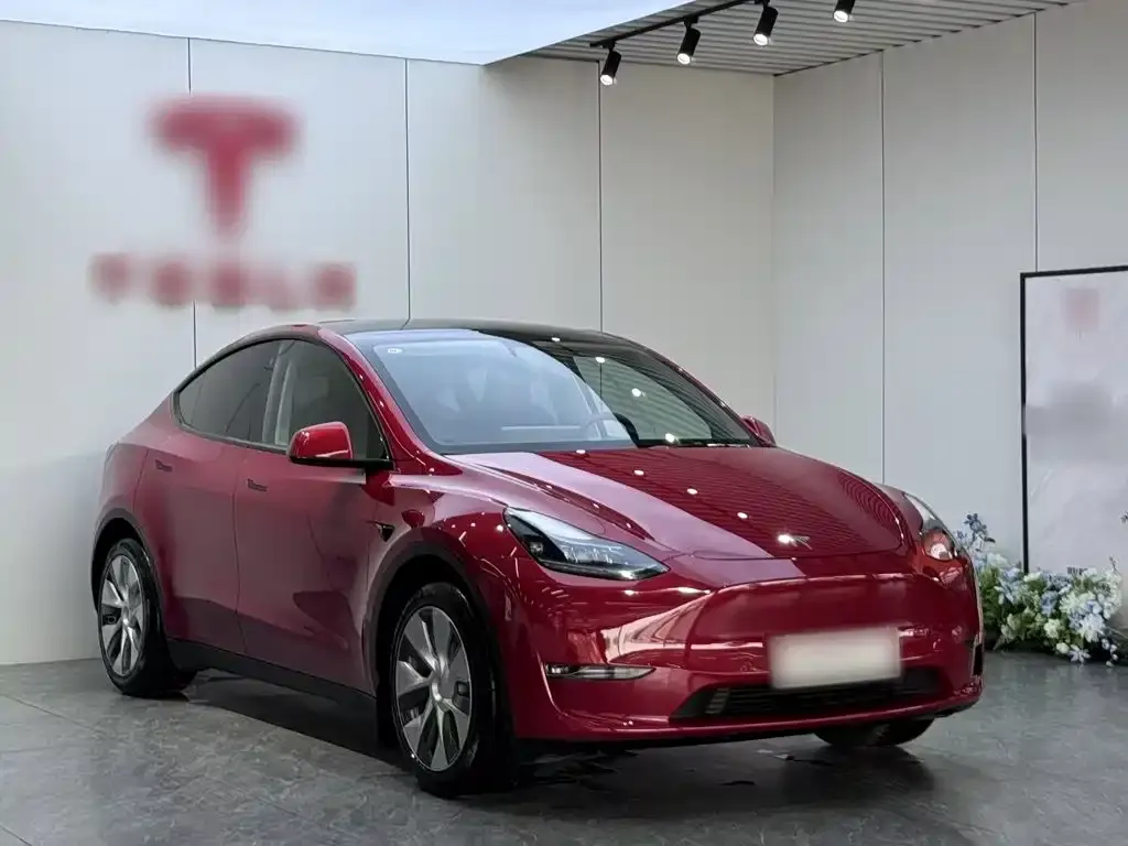 Tesla Model Y — фото 2