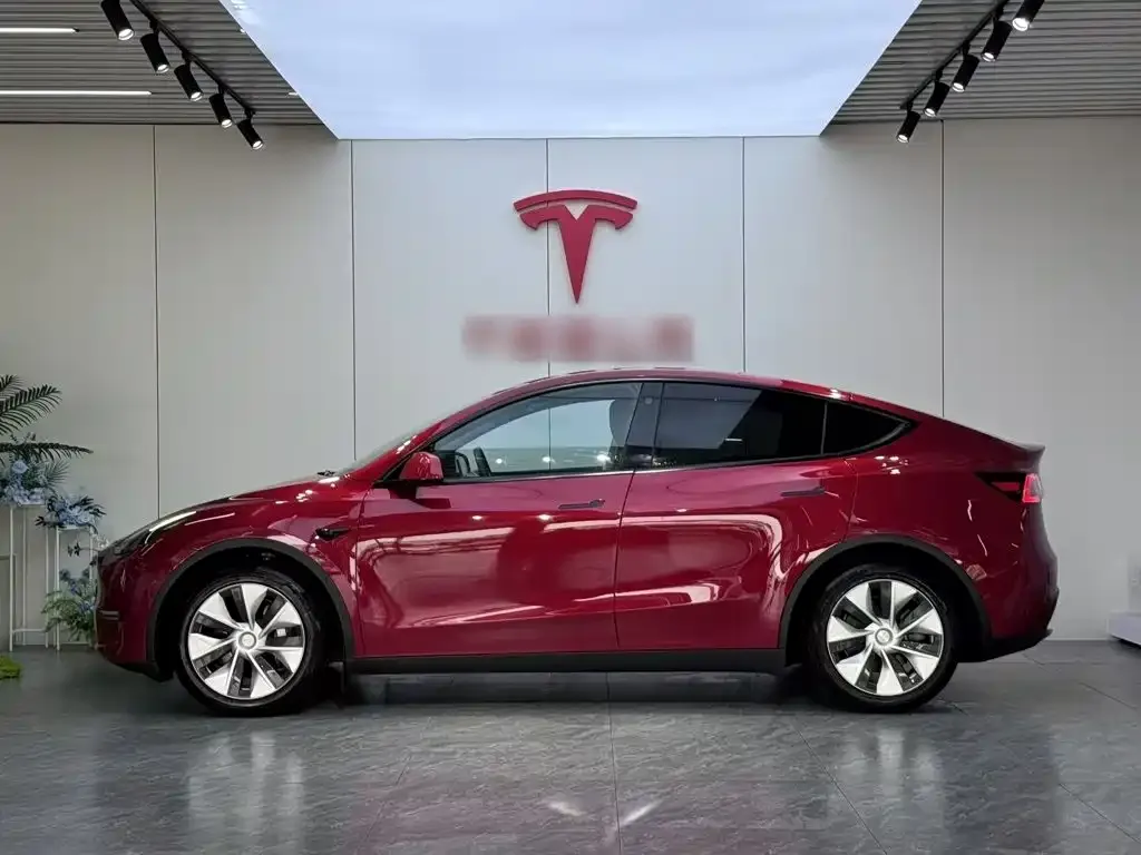 Tesla Model Y — фото 9