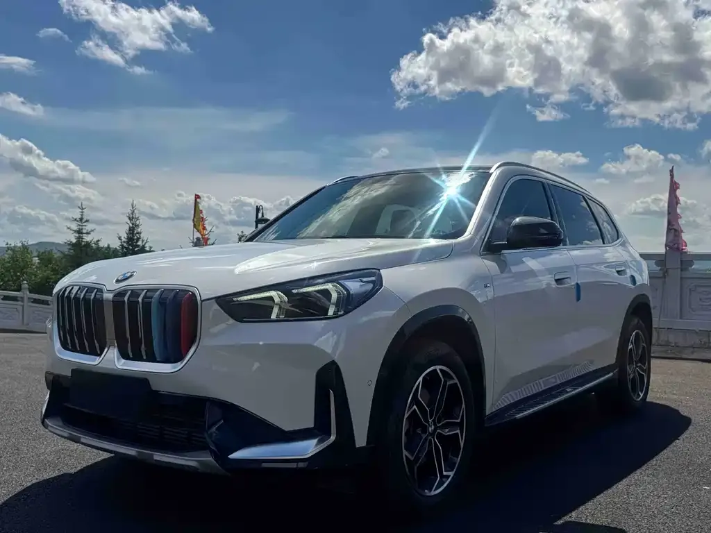 BMW X1 — фото 1