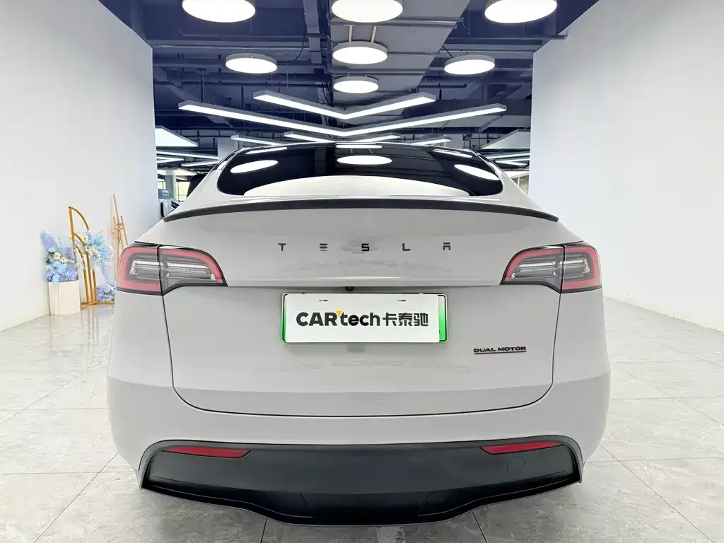 Tesla Model Y — фото 4