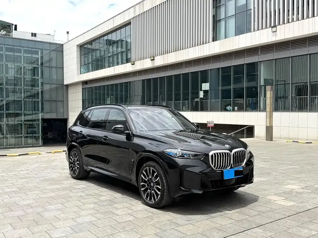BMW X5 2025 из CN, фото 6