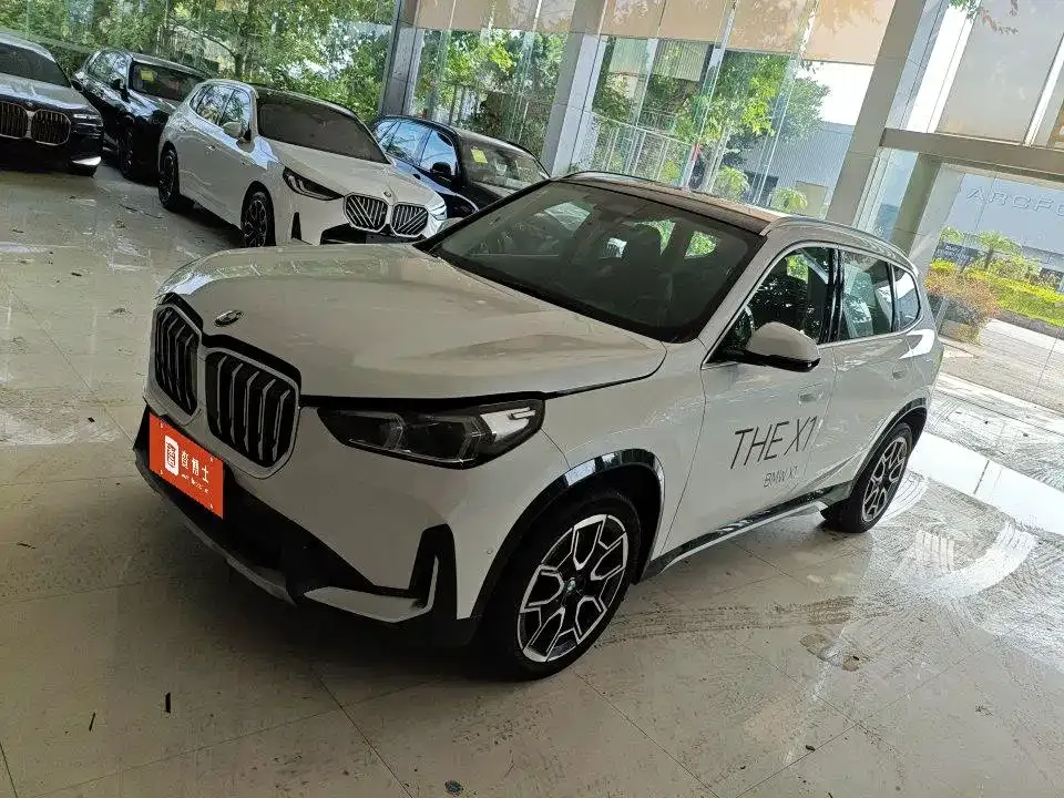 BMW X1 — фото 1