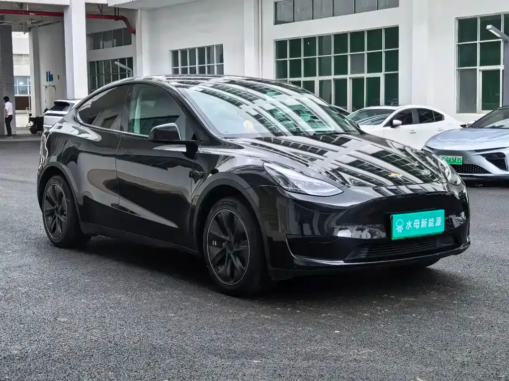 Tesla Model Y — фото 5