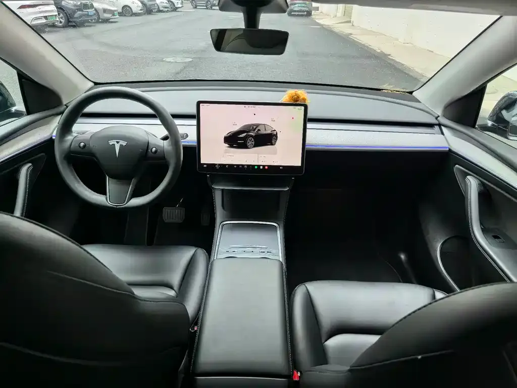 Tesla Model Y — фото 2