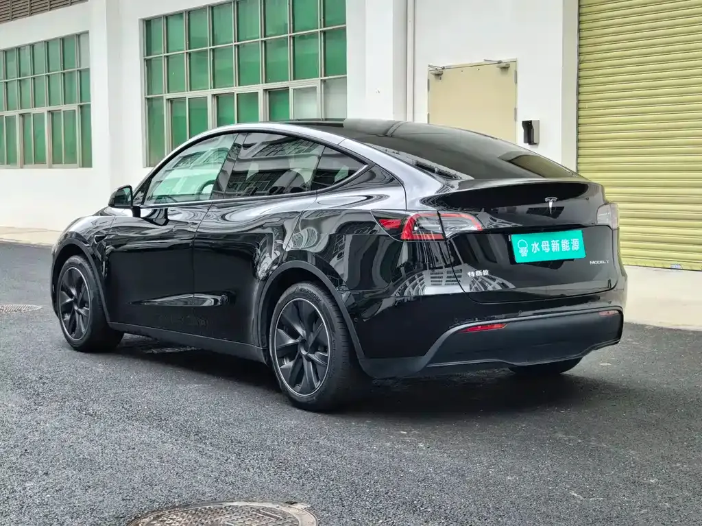Tesla Model Y — фото 8