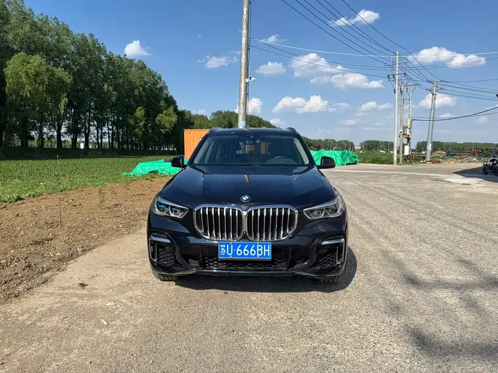 BMW X5 2022 из CN, фото 7