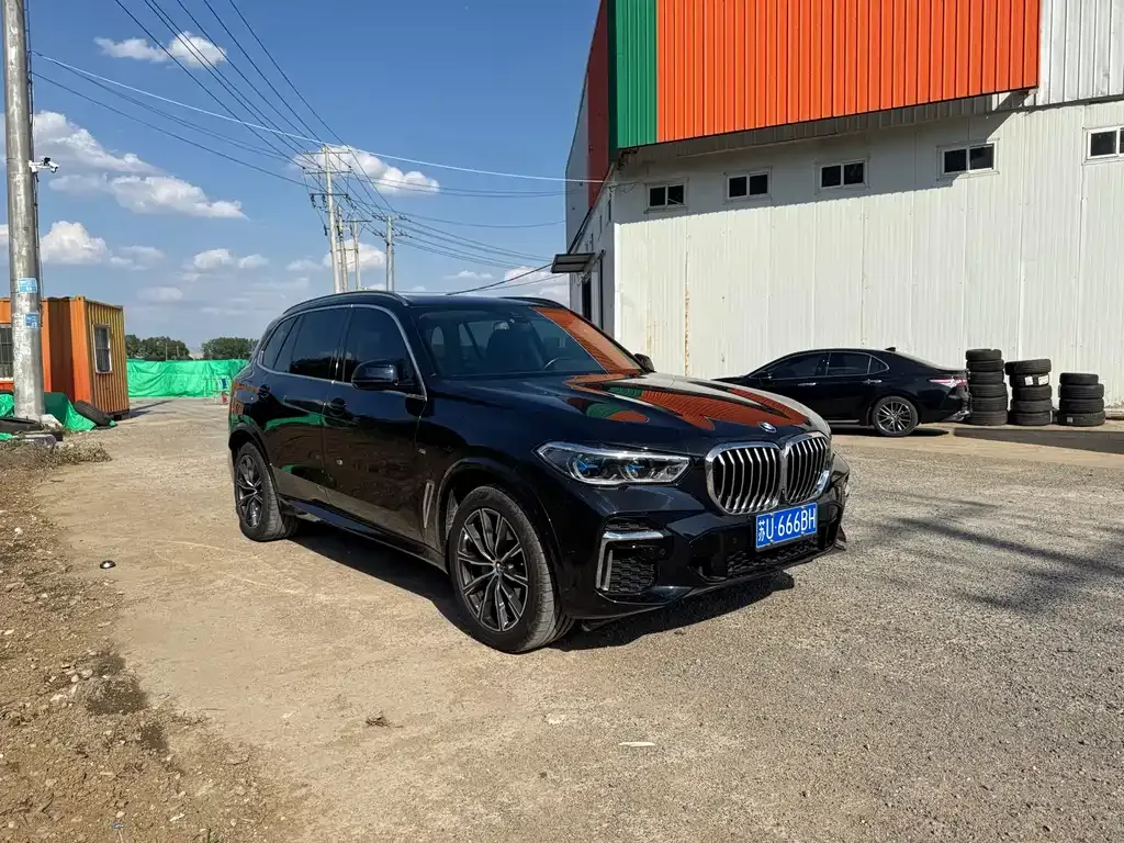 BMW X5 2022 из CN, фото 10
