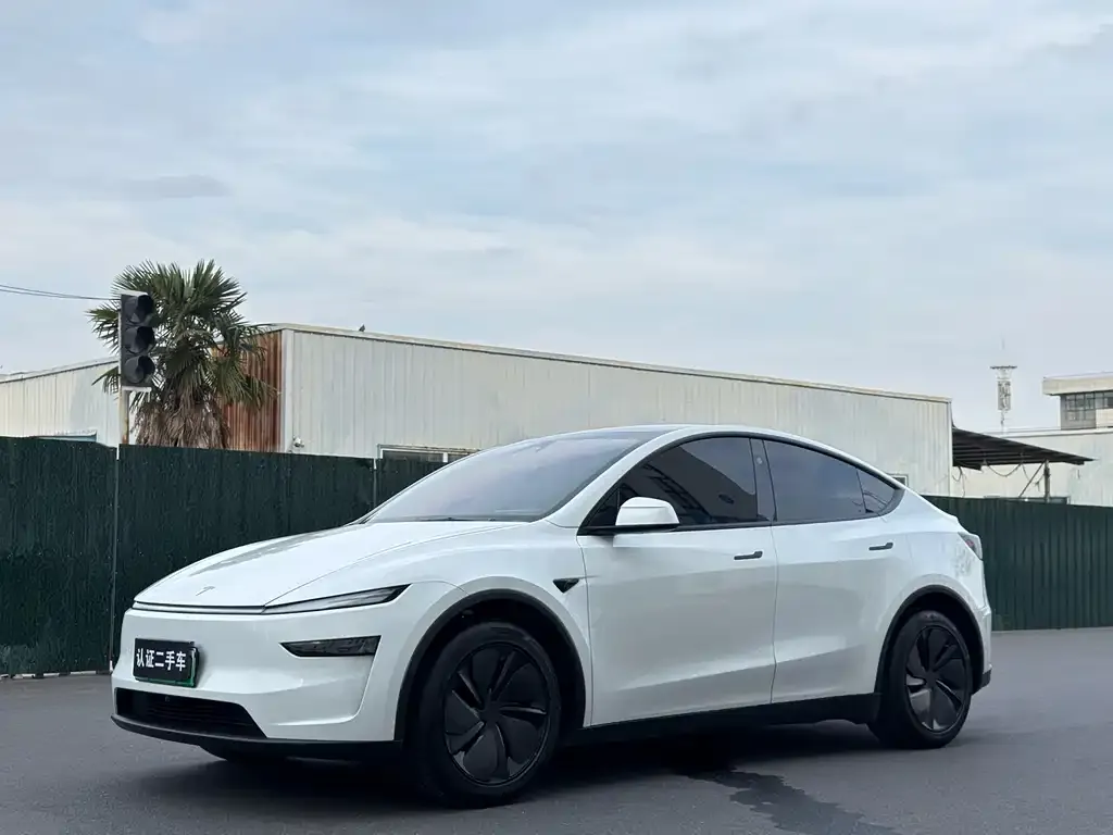 Tesla Model Y — фото 1