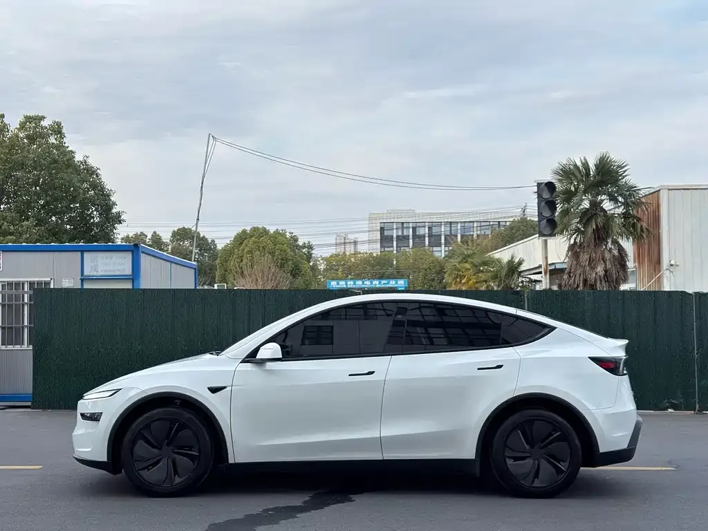 Tesla Model Y — фото 8