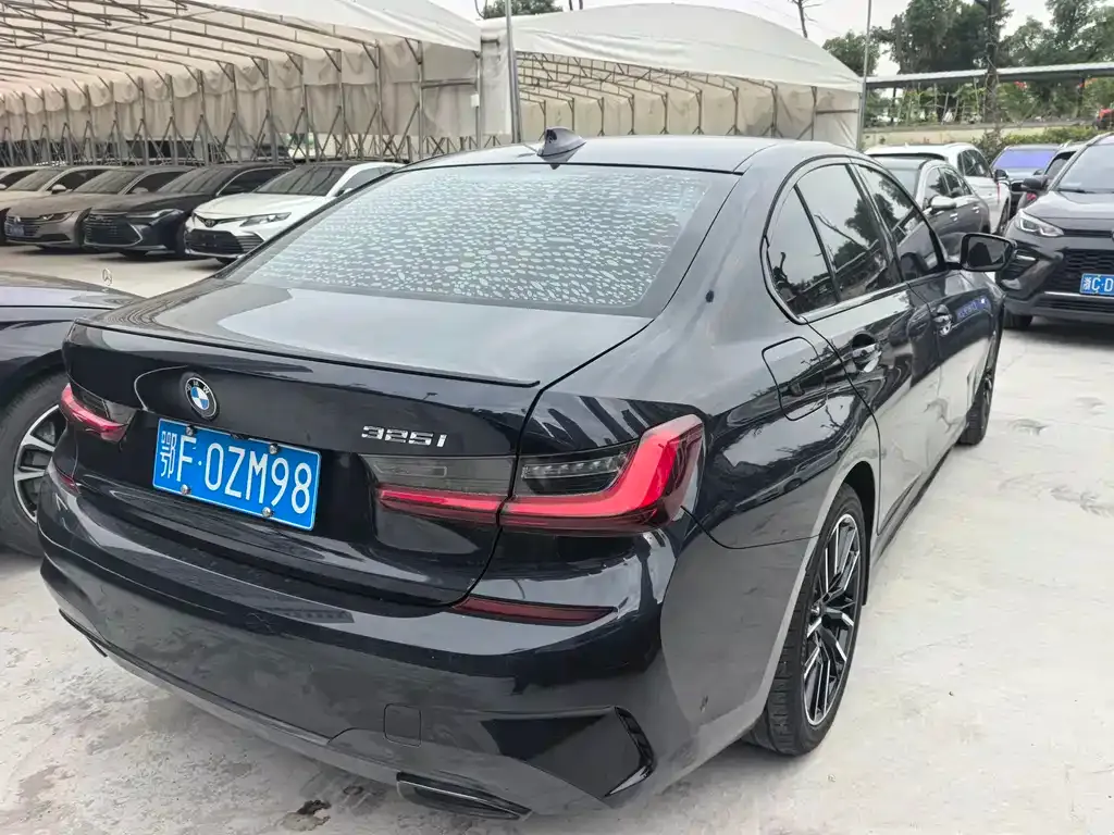BMW 3 Series 2022 из CN, фото 5