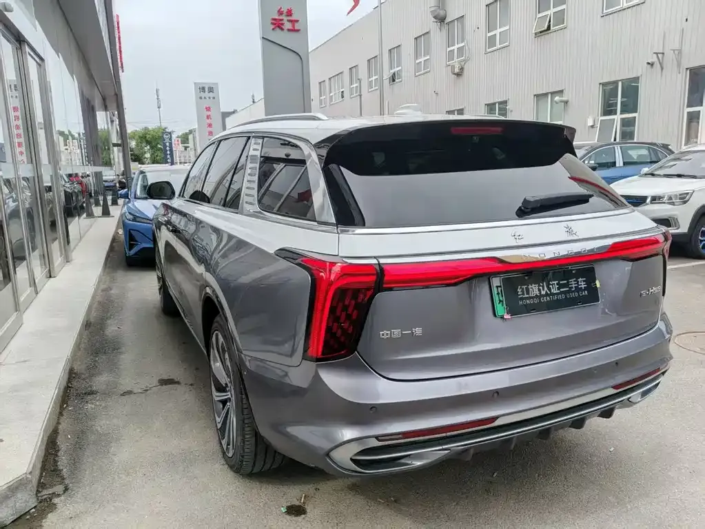 Hongqi E-HS9 — фото 10